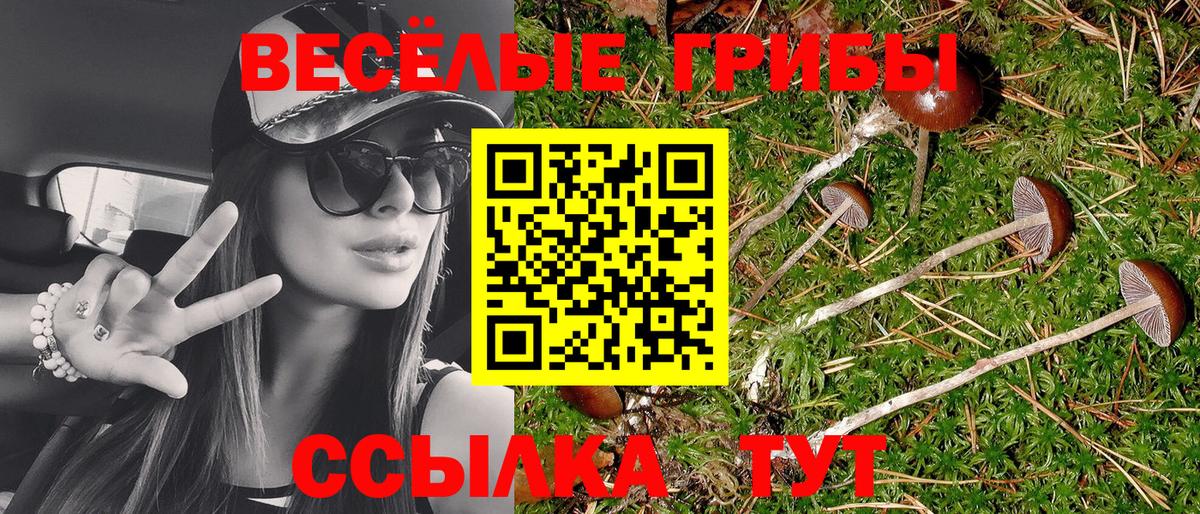 Псилоцибиновые грибы GOLDEN TEACHER Благодарный